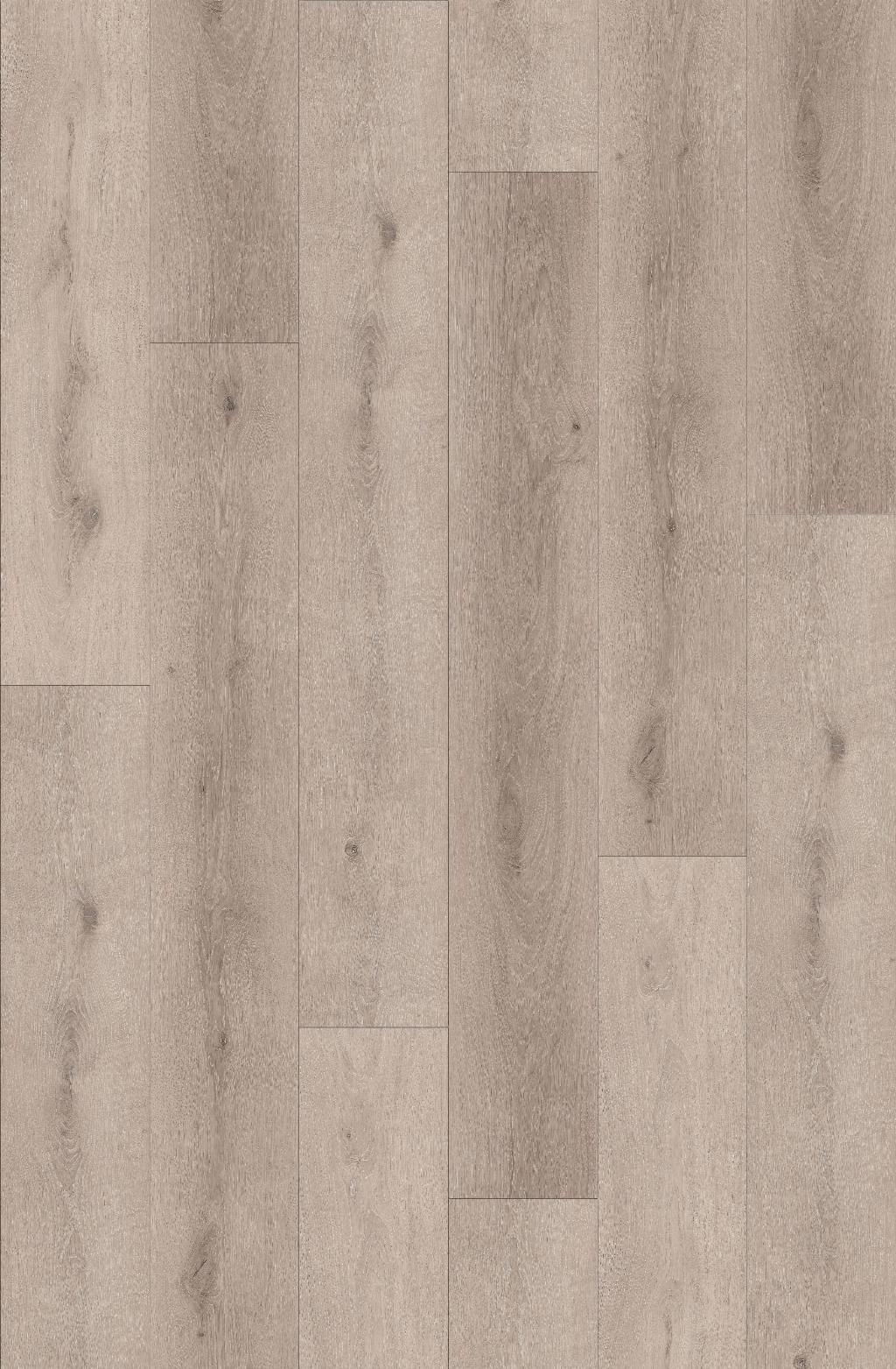 Fiji Plank DB Levuka